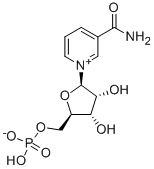 NMN β-煙酰胺單核苷酸