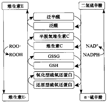 古特生物