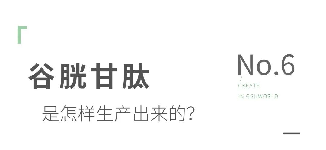 谷胱甘肽是如何生產(chǎn)的？