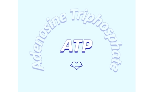 ATP有什么用？